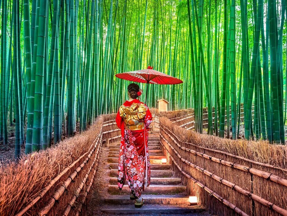 Asian woman wearing japanese traditional kimono at Bamboo Forest in Kyoto, Japan